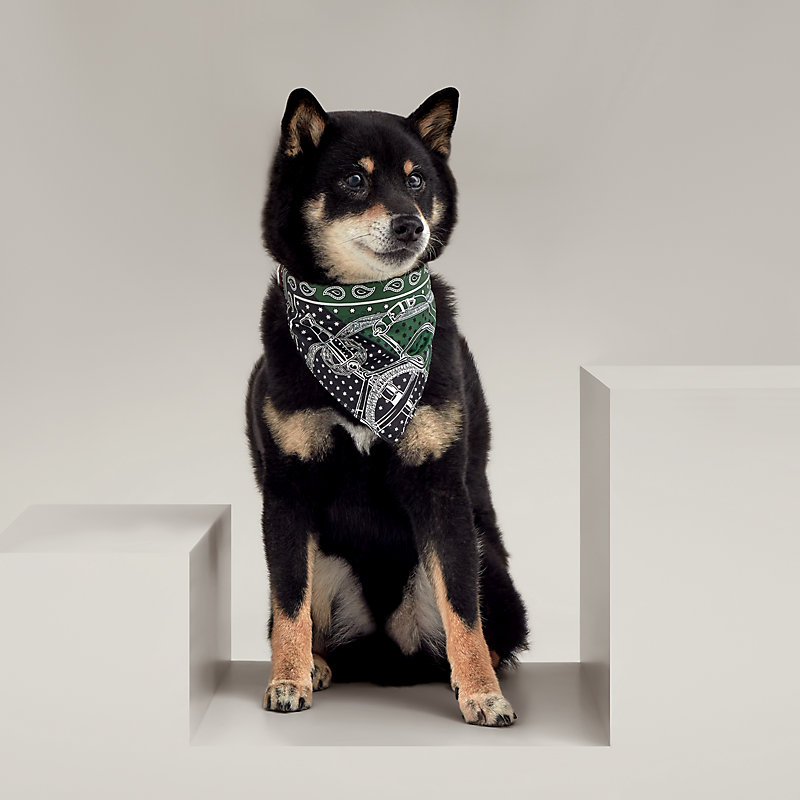 犬用バンダナ 《エプロン・ドール》 M | Hermès - エルメス-公式サイト